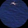 Profilbild von worldwide