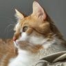 Фото профиля Ziggy