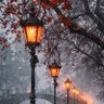 Фото профиля Judith Ibarra