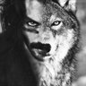 Majesty .'s profile picture