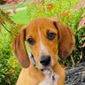Flo's profile picture
