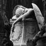 Amalfi profil fotoğrafı