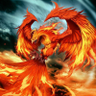 Akshay Singh's profile picture