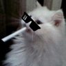 かずけん profil fotoğrafı