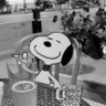 Scrooge “The Unabomber” McDuck profil fotoğrafı