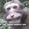 飞天大猪's profile picture