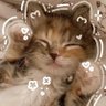 🫧𓇼𓏲*ੈSuwundae✩‧₊˚🎐 profil fotoğrafı