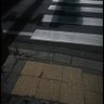 Фото профиля 髙橋悠真