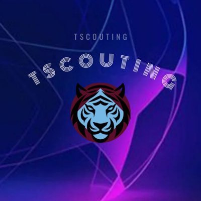 TScouting (yeni hesap)'s profile picture