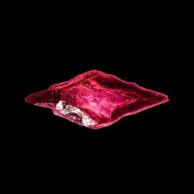 Tokyo Sims's profile picture