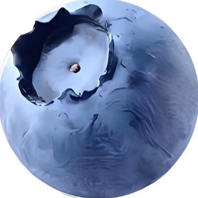 Moritori_lob's profile picture