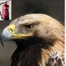 Jacek Okupniak profil fotoğrafı