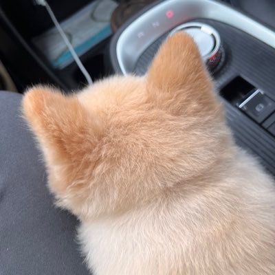 iliotien's profile picture