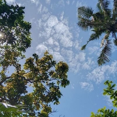 Yves Golden🇨🇮's profile picture
