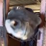 UOWWWWWWWWWW 的头像