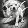 Profilbild von Fred