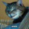 Profilbild von Огненный табаско в нежном лимончелло
