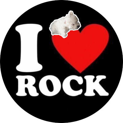 319tt's profile picture