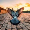 Khaled profil fotoğrafı