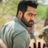 Profilbild von Luger MassReddy