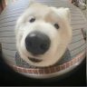 Aliboybbd 的头像