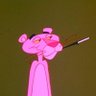 BD's profile picture