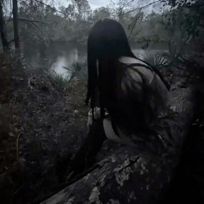 kitty's profile picture
