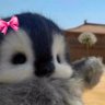 xASHx's profile picture