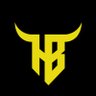 Hidden Bull's profile picture