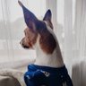 McMOF55's profile picture