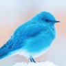 رتويت's profile picture