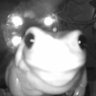 grill0x's profile picture