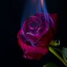 Фото профиля R.J flashbombaa