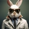 Profilbild von The Rabbit