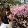audrey 🌷's profile picture