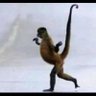 Derricksu's profile picture