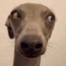 Dark profil fotoğrafı