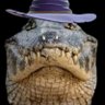 Фото профиля fishyfishygumdrop
