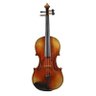 Viola Gang 的头像