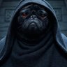Crofty's profile picture