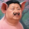 Profilbild von 小强哥