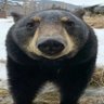 kamek :)'s profile picture
