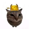 Profilbild von Andrew