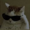 craftter coder's profile picture