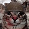 Profilbild von cwoox