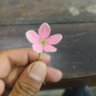 AamirSumon6's profile picture