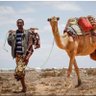 Dabaylaha🇸🇴's profile picture
