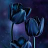 Raii's profile picture