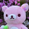 リムル's profile picture