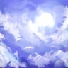 中野改's profile picture
